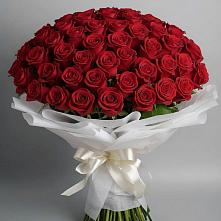 Букет 101 Красная роза Блэк Мэджик в Бее