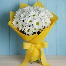 Букет цветов из:  Хризантемы в Бее