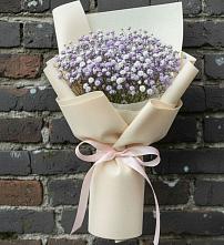 Букет цветов из:  Гипсофила в Бее