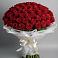Букет 101 Красная роза Блэк Мэджик в Бее