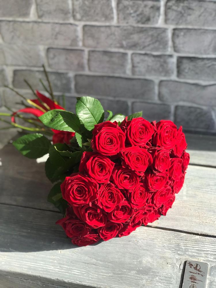 Букет Красные розы Фридом в Бее