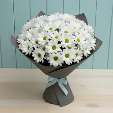 Букет цветов из:  Хризантемы в Бее