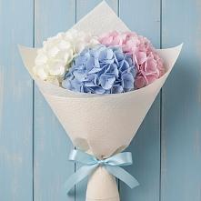 Букет цветов из:  Гортензия в Бее