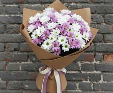 Букет цветов из:  Хризантемы в Бее