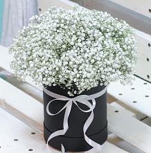 Цветочная композиция из Гипсофила в шляпной коробке #REPLACE_PRED# Бее
