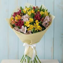 Букет цветов из:  Альстромерии в Бее