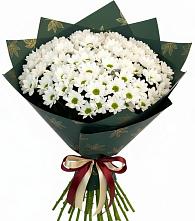 Букет цветов из:  Хризантемы #REPLACE_PRED# Бее