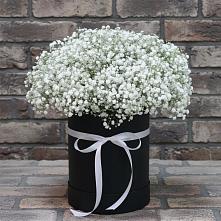 Цветочная композиция из Гипсофила в шляпной коробке в Бее