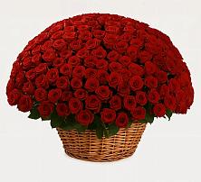 Премиум букет из: Розы #REPLACE_PRED# Бее