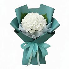 Букет цветов из:  Гортензия в Бее